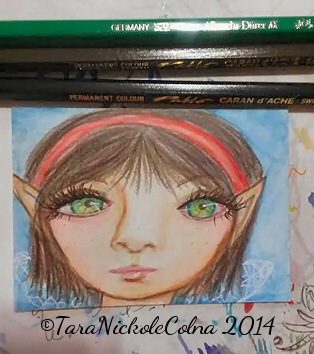 Pretty Elf Fairy by Tara N Colna